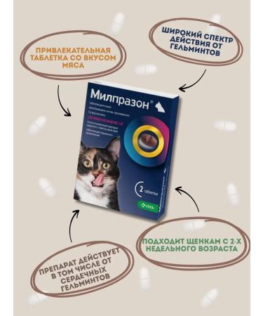 KRKA Milprazone 16 mg for cats more than 2 kg tablets 2 pcs - Buy Online on GoSupps.com