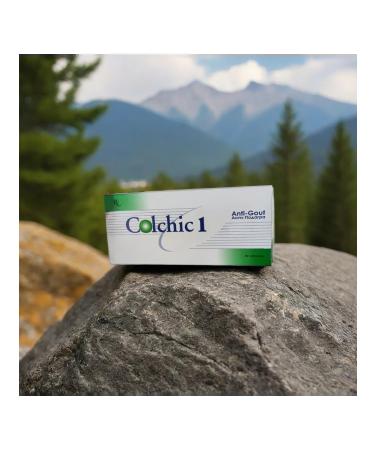 FUNGI MARKET Remedy for gout and arthritis 20 tab