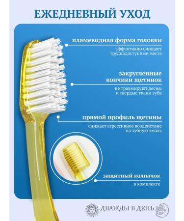 Twice a day Medium stiff - Buy Online on GoSupps.com