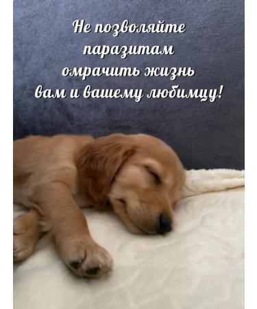 for dogs Non-toxic parasite control for puppies kittens cats dogs and home protection - Buy Online on GoSupps.com