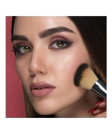 DIEGO DALLA PALMA MILANO Compact powdery blush for Powder Blush 22 5 g - Buy Online on GoSupps.com