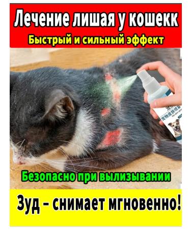 Remedy for lichen for cats spray