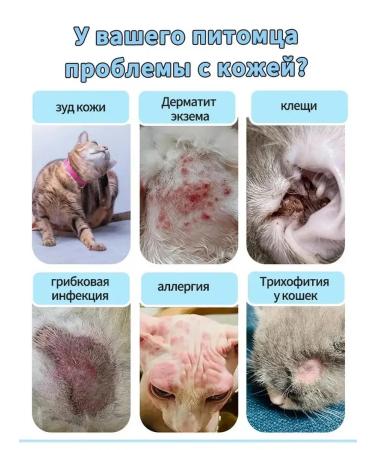 Remedy for lichen for cats spray - Buy Online on GoSupps.com