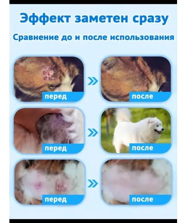 Remedy for lichen for cats spray - Buy Online on GoSupps.com