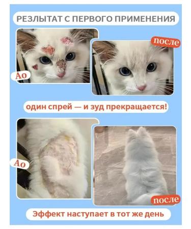 Remedy for lichen for cats spray - Buy Online on GoSupps.com