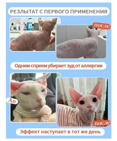 Remedy for lichen for cats spray - Buy Online on GoSupps.com