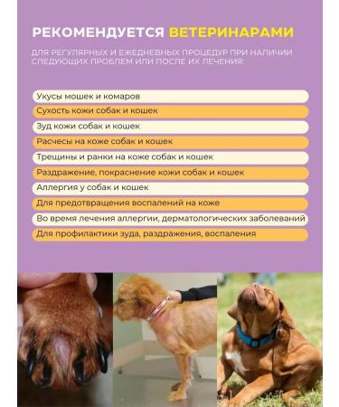 Spray against itching for cats and dogs 100 ml - Buy Online on GoSupps.com