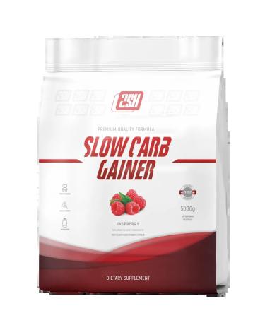 2SN Gainer Slow carbohydrates Slow Carb Gainer 5000G raspberries