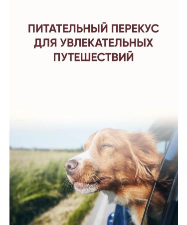 Titbit Dog treat for dogs with lamb and lingonberry 14 pcs - Buy Online on GoSupps.com