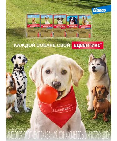 Elanco Advantics 250C Drops for dogs from 10 to 25 kg 4 pipettes - Buy Online on GoSupps.com