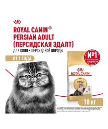 Royal Canin Dry food for adult cats of Persian breed with chicken