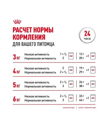 Royal Canin Dry food for adult cats of Persian breed with chicken - Buy Online on GoSupps.com