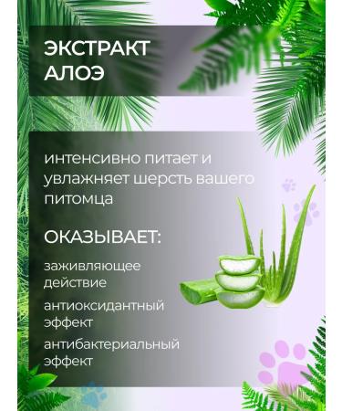 AMIGO Shampoo for deep cleaning of the wool of dogs and cats 300ml - Buy Online on GoSupps.com