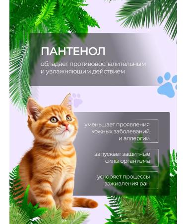 AMIGO Shampoo for deep cleaning of the wool of dogs and cats 300ml - Buy Online on GoSupps.com