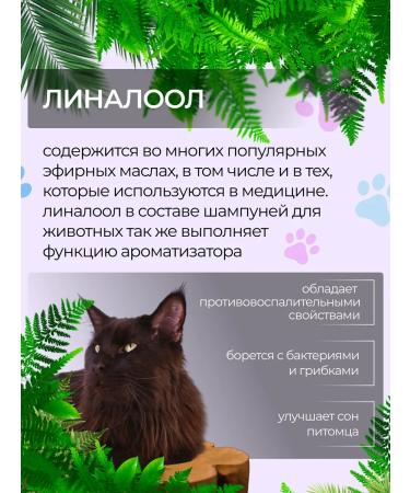 AMIGO Shampoo for deep cleaning of the wool of dogs and cats 300ml - Buy Online on GoSupps.com