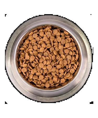 Monge Monge Dry food for cats Cat Bwild Grain free salmon 1.5kg - Buy Online on GoSupps.com