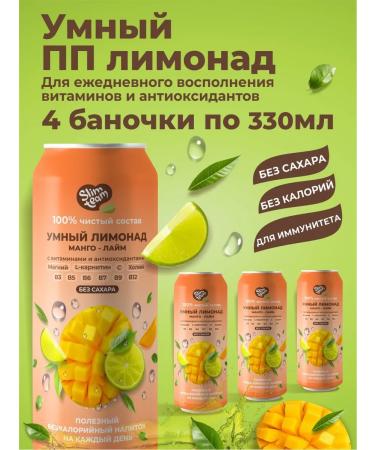 SLIM TEAM Useful natural functional lemonade 4 pieces
