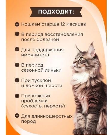GOOD CAT Healthy treat for cats with Dutch cheese flavor 90 tablets. - Buy Online on GoSupps.com