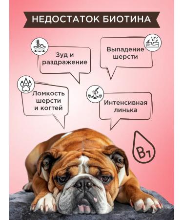 Good Dog Healthy treat for dogs with the taste of Alpine beef 90 tablets. - Buy Online on GoSupps.com