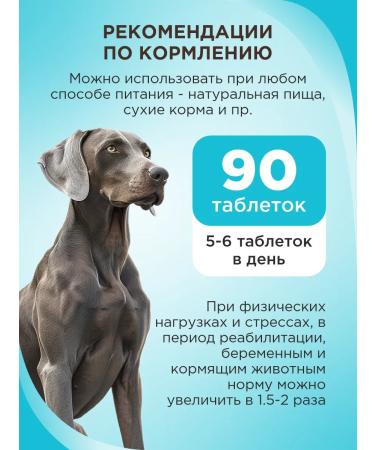 Good Dog Healthy treat for dogs Strong immunity with kelp 90 tablets. - Buy Online on GoSupps.com
