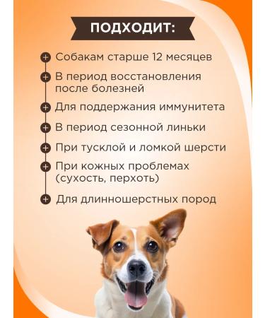 Good Dog Healthy treat for dogs with Dutch cheese flavor 90 tablets. - Buy Online on GoSupps.com