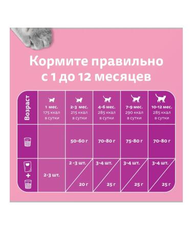 WHISKAS Wet food for kittens stew with lamb 75g - Buy Online on GoSupps.com