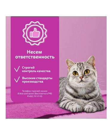 WHISKAS Feed for castrated cats with beef 350g - Buy Online on GoSupps.com