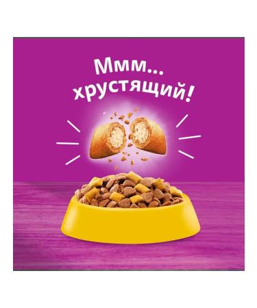 WHISKAS Feed for sterilized cats with chicken 1.3kg - Buy Online on GoSupps.com