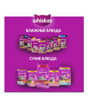 WHISKAS Dry food for sterilized cats 5kg - Buy Online on GoSupps.com