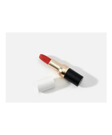 FMGT Matte lipstick for the New Bold Velvet Lipstick lip - Buy Online on GoSupps.com