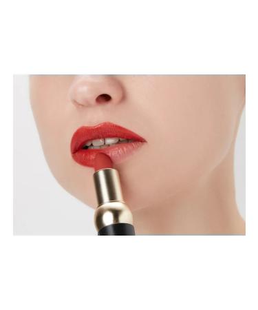 FMGT Matte lipstick for the New Bold Velvet Lipstick lip - Buy Online on GoSupps.com