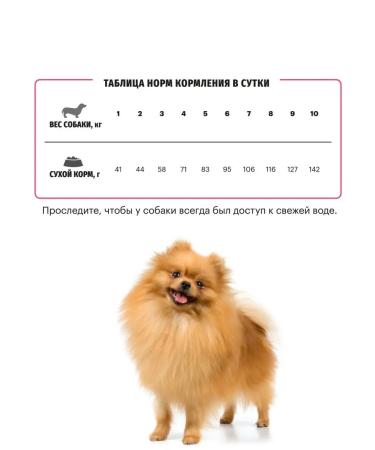 KARMY Dog food dry sensitive mini salmon 10 kg - Buy Online on GoSupps.com