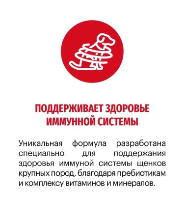 KARMY Dog food dry Medium Junior turkey 14 kg - Buy Online on GoSupps.com