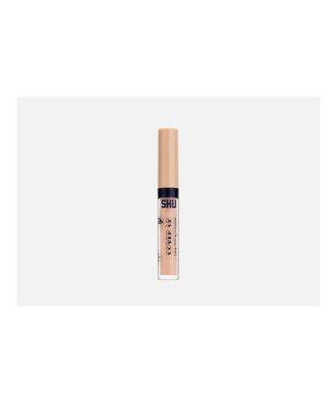 SHU Concaler Strong Cover Up