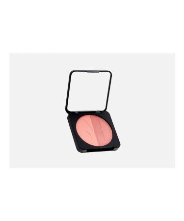 Compact face blush artist Powder Blush