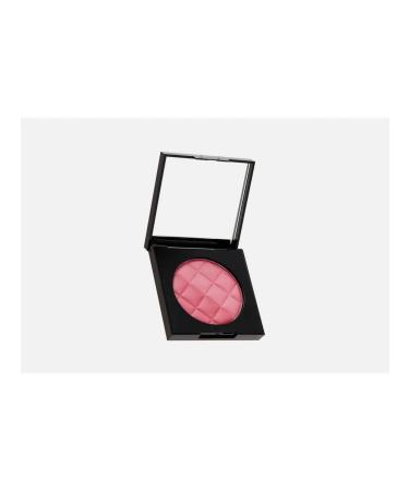 Artdeco Blush couture blush