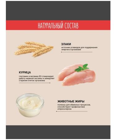 Chewell Tidbious pillows for cats assorted 3pcs - Buy Online on GoSupps.com