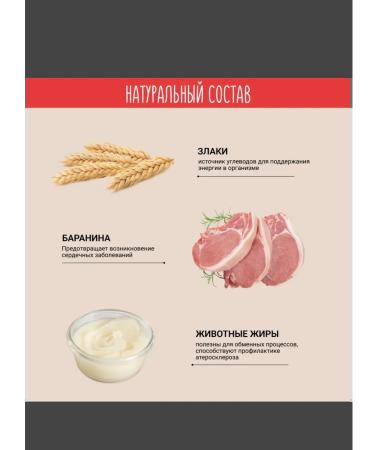 Chewell Tidbious pillows for cats assorted 3pcs - Buy Online on GoSupps.com