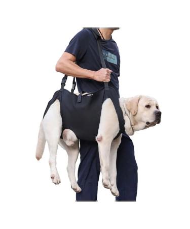 Dog assistance belt