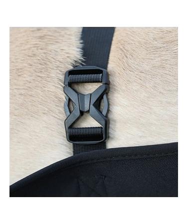 Dog assistance belt - Buy Online on GoSupps.com