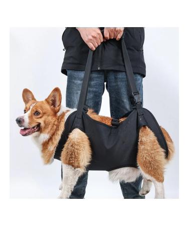Dog assistance belt - Buy Online on GoSupps.com