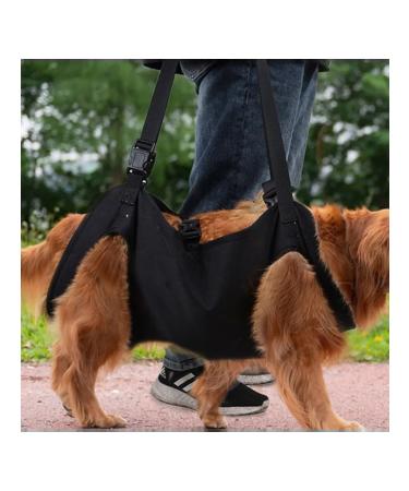 Dog assistance belt - Buy Online on GoSupps.com
