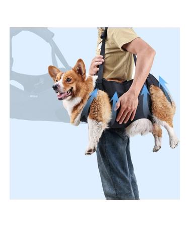 Dog assistance belt - Buy Online on GoSupps.com