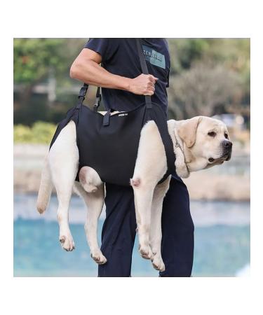 Dog assistance belt - Buy Online on GoSupps.com