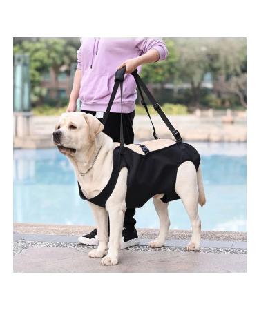 Dog assistance belt - Buy Online on GoSupps.com