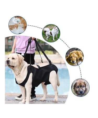 Dog assistance belt - Buy Online on GoSupps.com