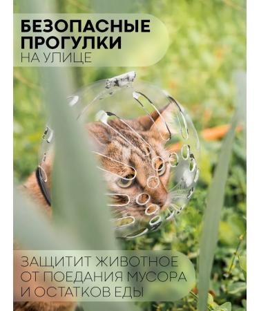 POTATOES Muzzle Ball Gruther for Cats Transparent Mask - Buy Online on GoSupps.com