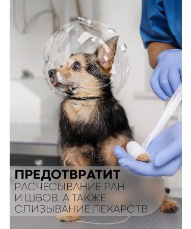 POTATOES Muzzle Ball Gruther for Cats Transparent Mask - Buy Online on GoSupps.com