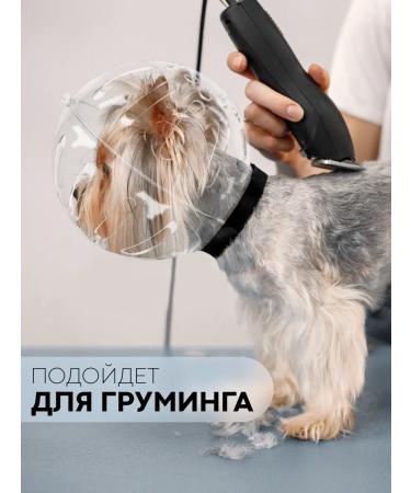 POTATOES Muzzle Ball Gruther for Cats Transparent Mask - Buy Online on GoSupps.com