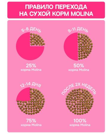 MOLINA Dry dog food - Buy Online on GoSupps.com